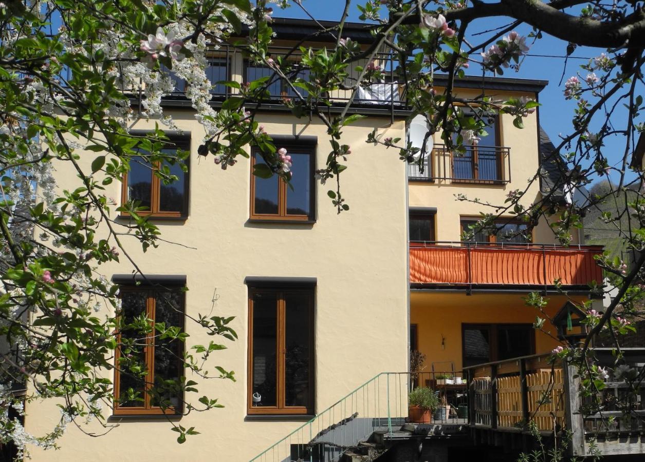 Ferienwohnung Ellebett Müden Exteriér fotografie